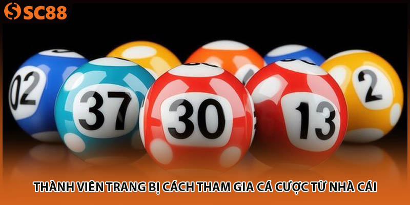 Thành viên trang bị cách tham gia cá cược từ nhà cái