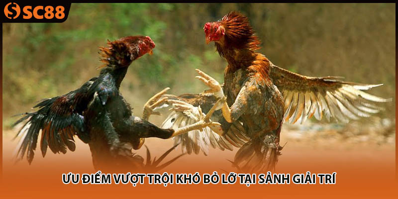 Ưu điểm vượt trội khó bỏ lỡ tại sảnh giải trí